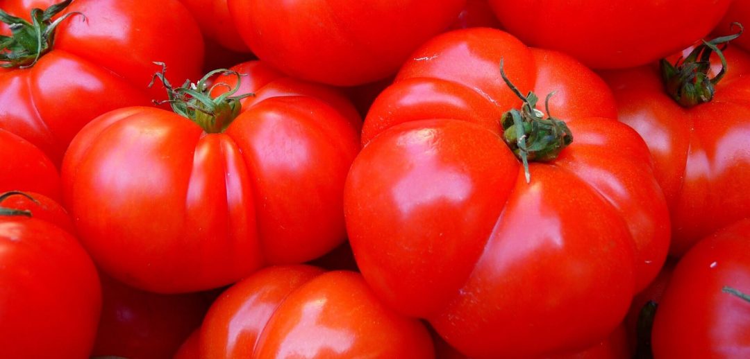 Rojo como un tomate